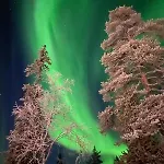 Lumi In Lapland