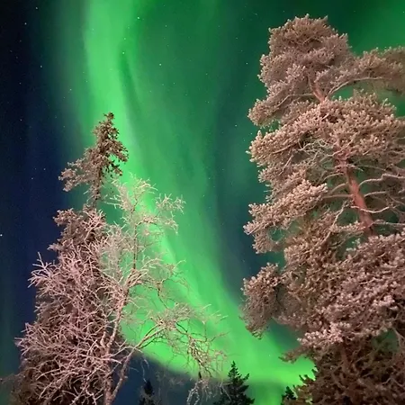 Lumi In Lapland